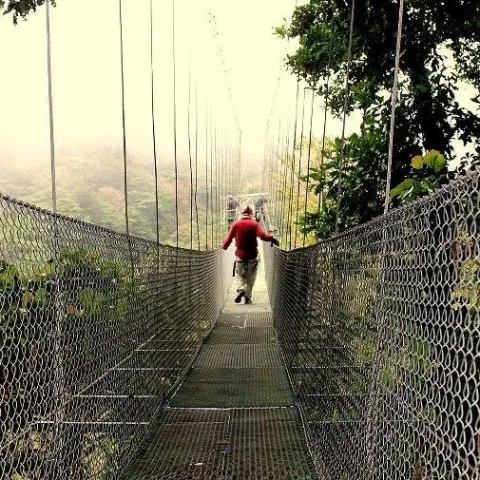 Hanging Bridge
