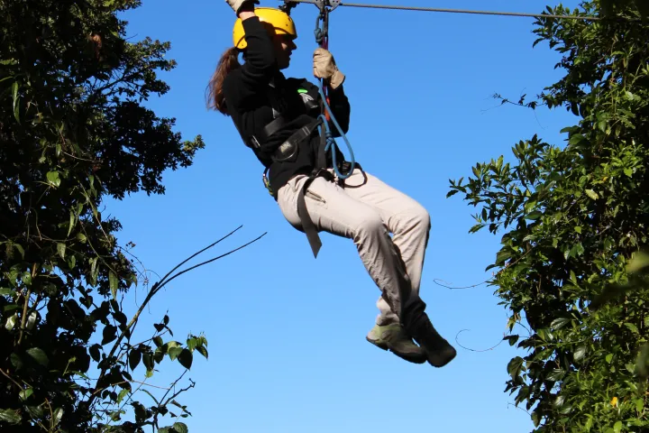 Zipliners