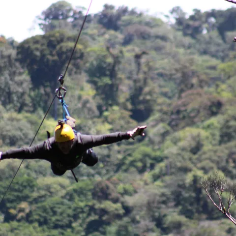 Zipline