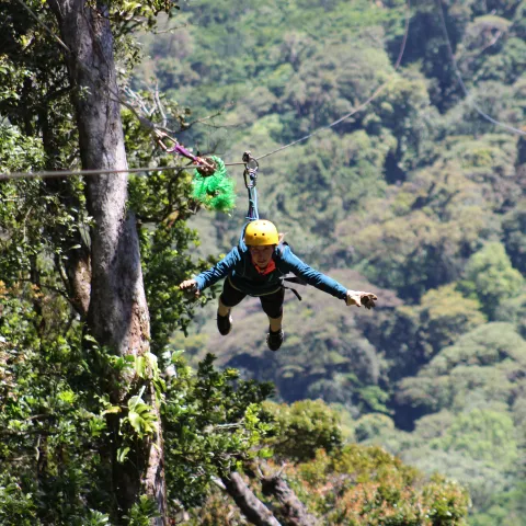Zipline