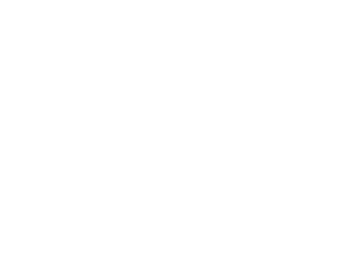 Trip Advisor Logo